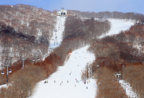 岩手高原スノーパークで使えるクーポン一覧｜スキー・スノボの電子クーポン ダレモ【ゲレンデ】