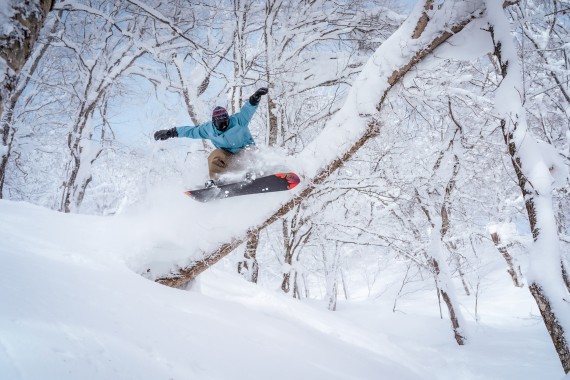 星野リゾート ネコママウンテン(旧:アルツ磐梯･旧:猫魔スキー場)で使えるクーポン一覧｜スキー・スノボの電子クーポン ダレモ【ゲレンデ】