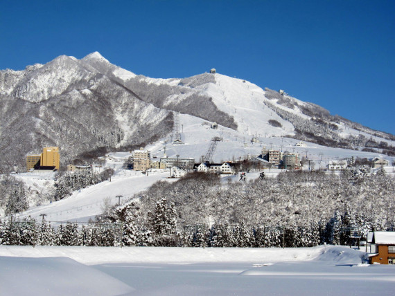 岩原スキー場で使えるクーポン一覧｜スキー・スノボの電子クーポン ダレモ【ゲレンデ】