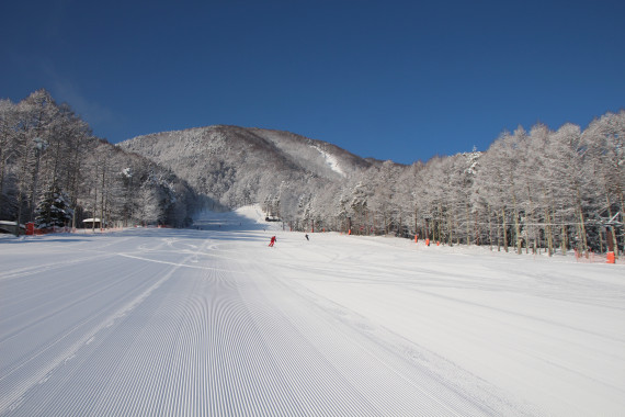富士見パノラマリゾートで使えるクーポン一覧｜スキー・スノボの電子クーポン ダレモ【ゲレンデ】