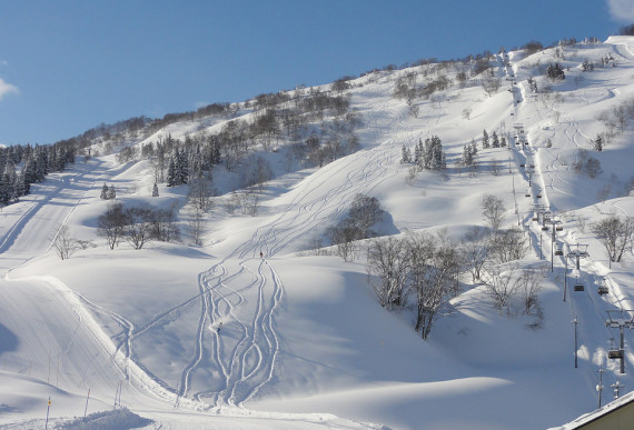 シャルマン火打スキー場で使えるクーポン一覧｜スキー・スノボの電子クーポン ダレモ【ゲレンデ】