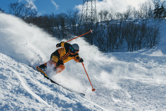 ダイナランドで使えるクーポン一覧｜スキー・スノボの電子クーポン ダレモ【ゲレンデ】
