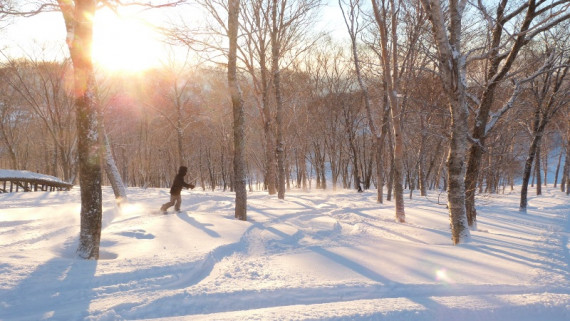 ダイナランドで使えるクーポン一覧｜スキー・スノボの電子クーポン ダレモ【ゲレンデ】