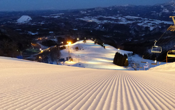 ダイナランドで使えるクーポン一覧｜スキー・スノボの電子クーポン ダレモ【ゲレンデ】