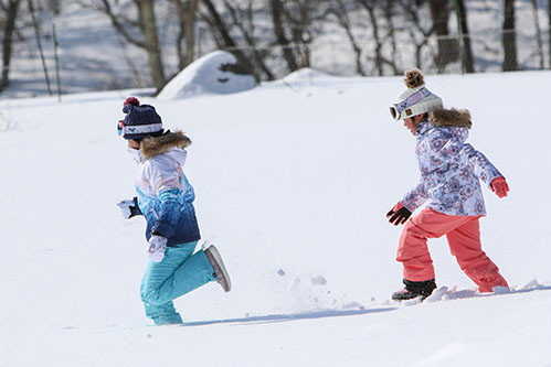 ブランシュたかやまスキーリゾートで使えるクーポン一覧｜スキー・スノボの電子クーポン ダレモ【ゲレンデ】