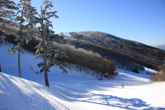 ユートピアサイオトで使えるクーポン一覧｜スキー・スノボの電子クーポン ダレモ【ゲレンデ】