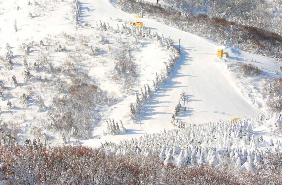 ユートピアサイオトで使えるクーポン一覧｜スキー・スノボの電子クーポン ダレモ【ゲレンデ】