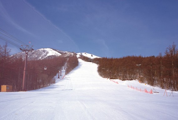 あだたら高原スキー場で使えるクーポン一覧｜スキー・スノボの電子クーポン ダレモ【ゲレンデ】