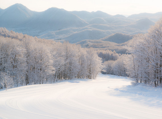 会津高原 だいくらスキー場で使えるクーポン一覧|スキー・スノボの電子クーポン ダレモ【ゲレンデ】