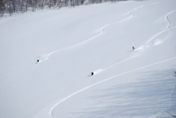 オグナほたかスキー場で使えるクーポン一覧｜スキー・スノボの電子クーポン ダレモ【ゲレンデ】