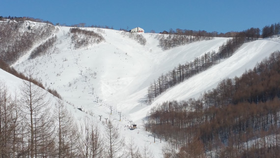 オグナほたかスキー場で使えるクーポン一覧｜スキー・スノボの電子クーポン ダレモ【ゲレンデ】