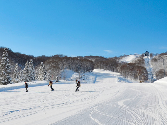 上越国際スキー場で使えるクーポン一覧｜スキー・スノボの電子クーポン ダレモ【ゲレンデ】