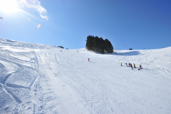 湯沢パークスキー場で使えるクーポン一覧｜スキー・スノボの電子クーポン ダレモ【ゲレンデ】