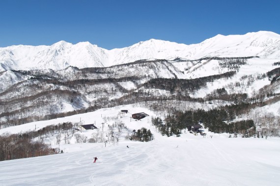 つがいけマウンテンリゾートで使えるクーポン一覧｜スキー・スノボの電子クーポン ダレモ【ゲレンデ】