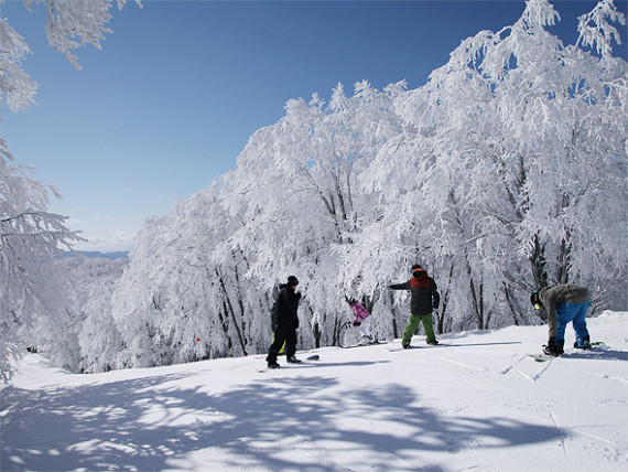 白馬コルチナスキー場で使えるクーポン一覧｜スキー・スノボの電子クーポン ダレモ【ゲレンデ】