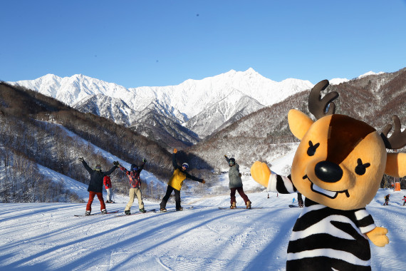 HAKUBA VALLEY 鹿島槍スキー場 ファミリーパークで使えるクーポン一覧｜スキー・スノボの電子クーポン ダレモ【ゲレンデ】