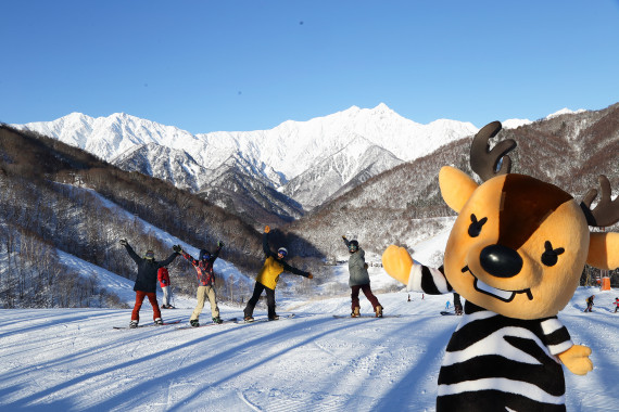 イギリス カルーセルの白馬プレゼント♡（HAKUBA VALLEY 鹿島槍スキー  
