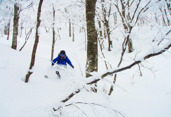 スキージャム勝山で使えるクーポン一覧｜スキー・スノボの電子クーポン ダレモ【ゲレンデ】