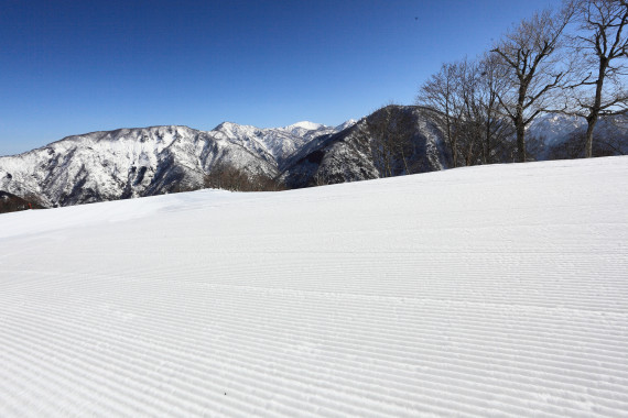 白山一里野温泉スキー場で使えるクーポン一覧｜スキー・スノボの電子クーポン ダレモ【ゲレンデ】