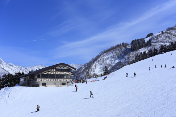 白山セイモアスキー場で使えるクーポン一覧｜スキー・スノボの電子クーポン ダレモ【ゲレンデ】