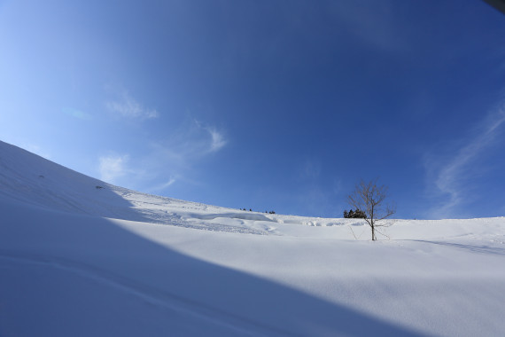 白山セイモアスキー場で使えるクーポン一覧｜スキー・スノボの電子クーポン ダレモ【ゲレンデ】