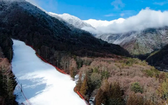 駒ヶ根高原スキー場で使えるクーポン一覧｜スキー・スノボの電子クーポン ダレモ【ゲレンデ】