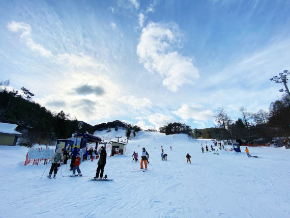 6枚価格 ひらや高原スキー場 ひらや高原 長野 - スキー場