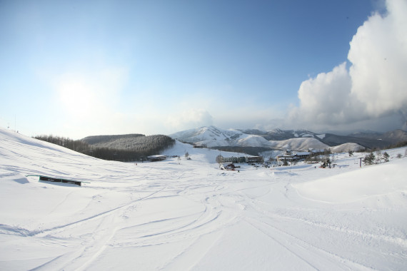 白樺湖ロイヤルヒルスキー場で使えるクーポン一覧｜スキー・スノボの電子クーポン ダレモ【ゲレンデ】