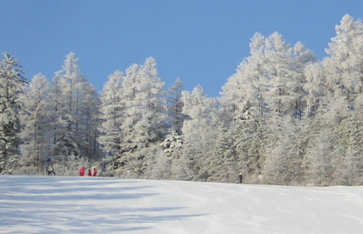 シャトレーゼスキーバレー小海で使えるクーポン一覧｜スキー・スノボの電子クーポン ダレモ【ゲレンデ】