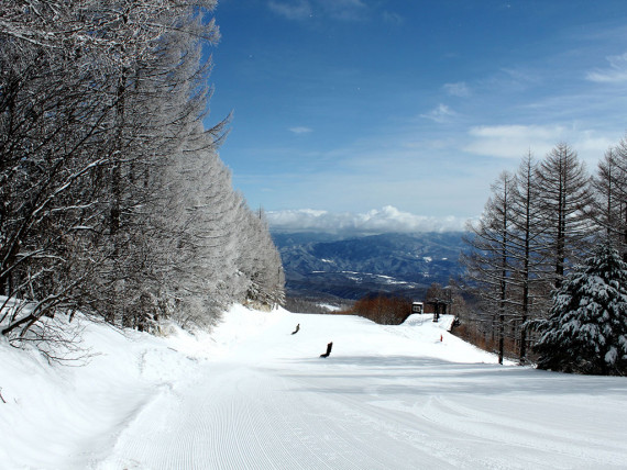 八千穂高原スキー場で使えるクーポン一覧｜スキー・スノボの電子クーポン ダレモ【ゲレンデ】