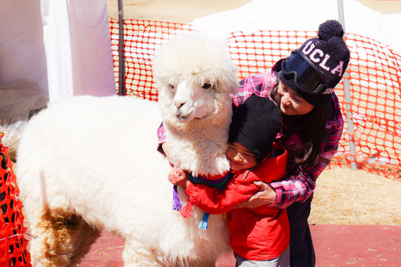 富士見高原スキー場で使えるクーポン一覧｜スキー・スノボの電子クーポン ダレモ【ゲレンデ】