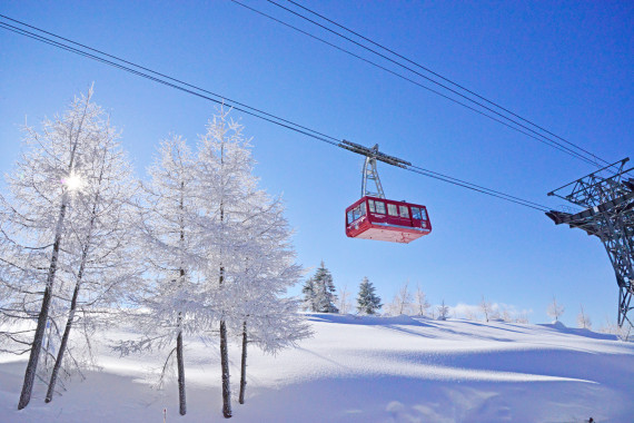 ピラタス蓼科スノーリゾートで使えるクーポン一覧｜スキー・スノボの電子クーポン ダレモ【ゲレンデ】