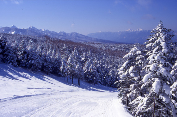 ピラタス蓼科スノーリゾートで使えるクーポン一覧｜スキー・スノボの電子クーポン ダレモ【ゲレンデ】