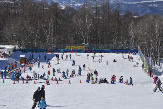 ピラタス蓼科スノーリゾートで使えるクーポン一覧｜スキー・スノボの電子クーポン ダレモ【ゲレンデ】