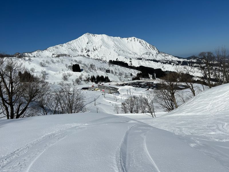 1日ライター「爺ぃ」さんからレポートいただきました