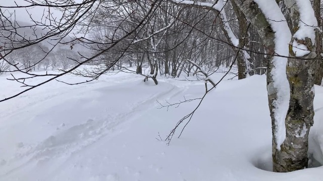 １日ライター「くーら450」さんからレポートいただきました