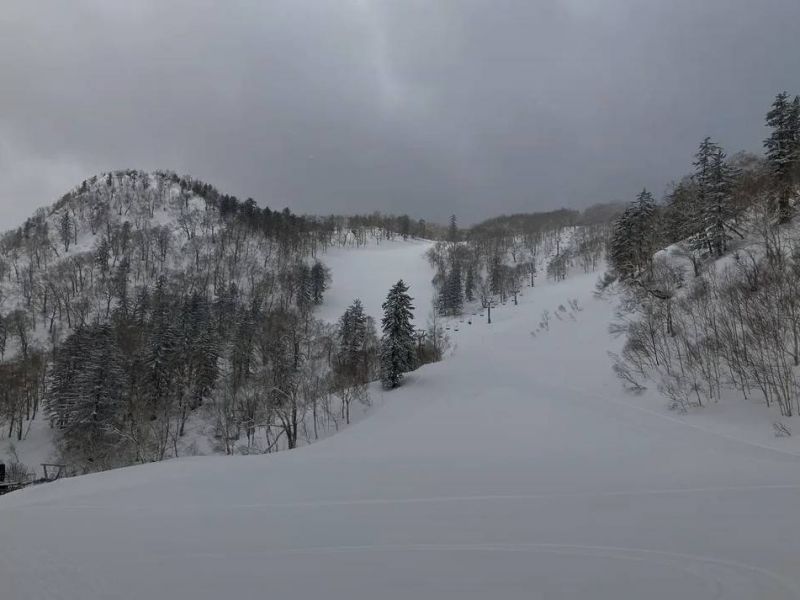 １日ライター「ニキニキ」さんからレポートいただきました