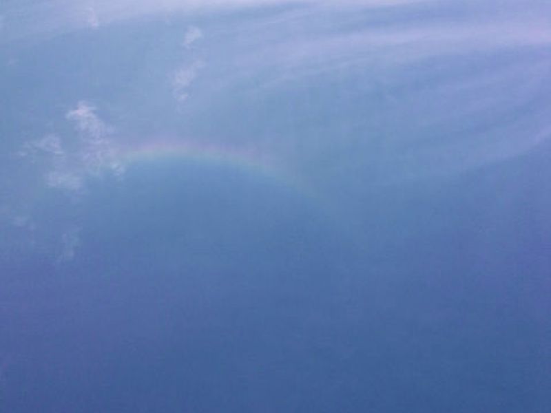 晴天の天頂に円い虹が出現