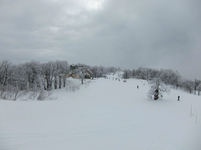 2012/01/21（土）　飛騨流葉スキー場の速報
