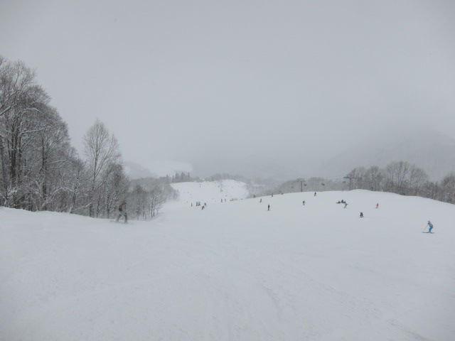 2012/02/26（日）　栂池の速報