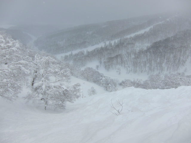 2013/02/09（土）　北海道ルスツリゾートの速報