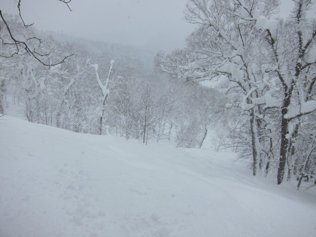 2014/02/01（土）　ルスツリゾートの速報