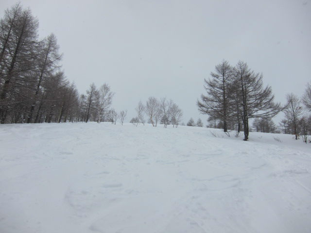 2014/02/09（日）　長野県志賀高原の速報