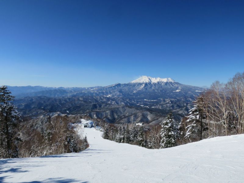 2015/01/24（土）　長野県きそふくしまスキー場の速報
