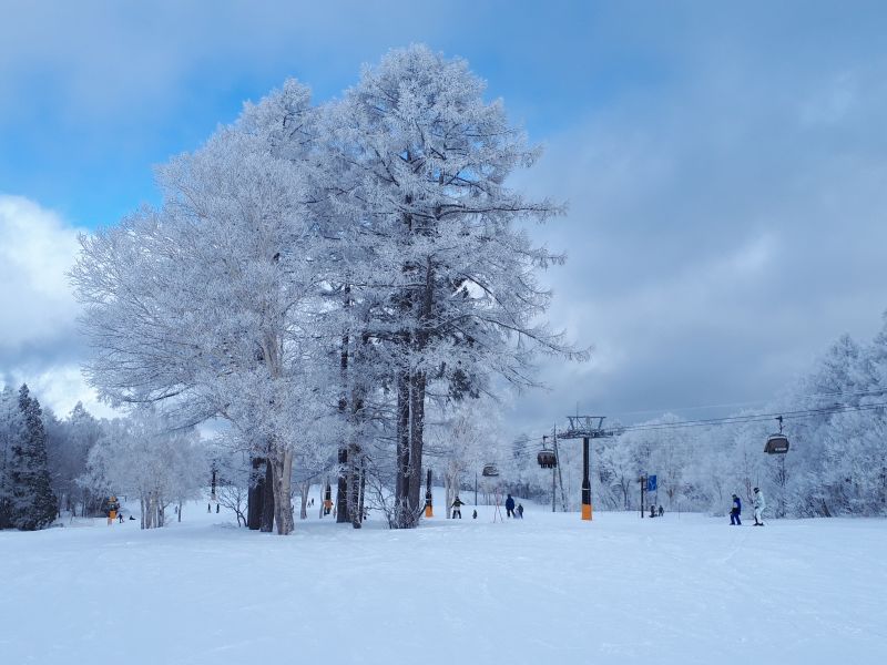 野沢温泉スキー場