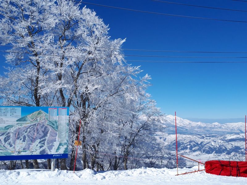 やっぱり楽しいわ！野沢は。