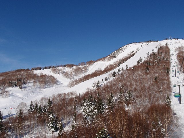 焼額山スキー場