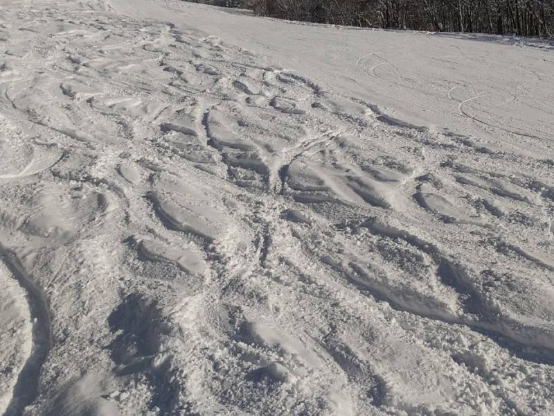 ぴっぷスキー場