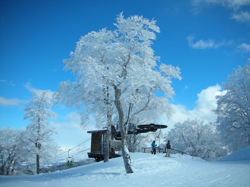 雪上がりの野沢はきれい