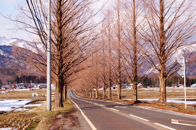 琵琶湖と田園の景観が好き！　箱館山スキー場